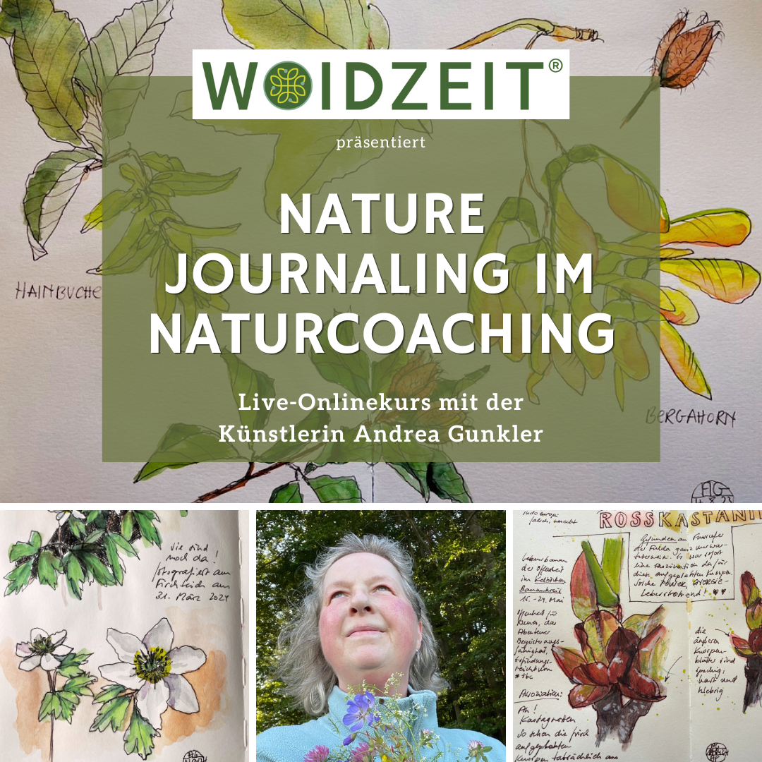 Nature Journaling im Naturcoaching in der Woidzeit