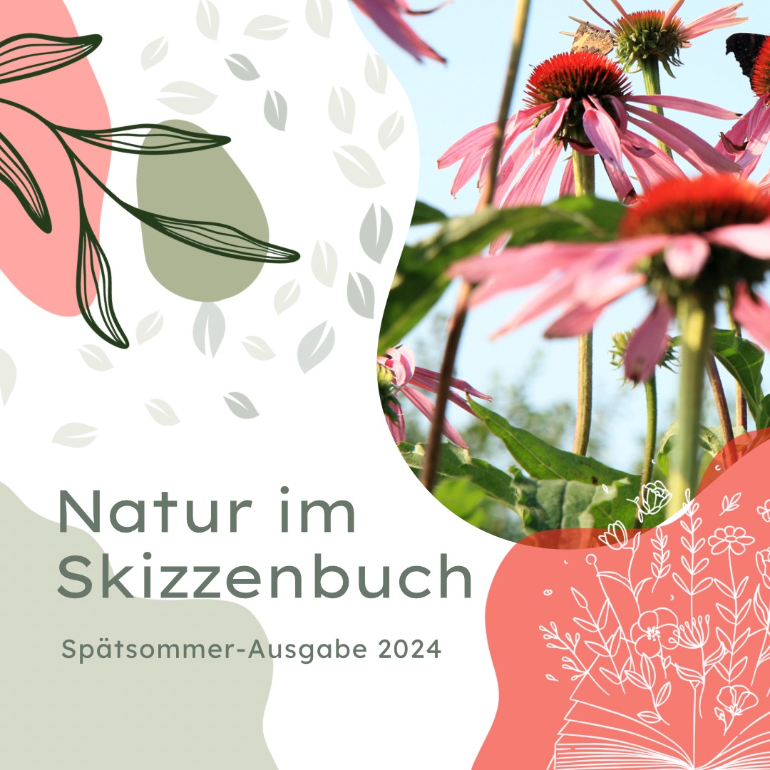 Titelblatt Natur im Skizzenbuch Spätsommer 2024