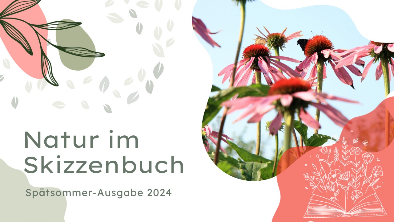 Natur im Skizzenbuch 2024